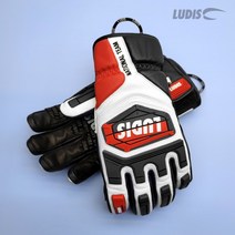 루디스 National Team 알파인 스키 스노보드 레이싱용 장갑 LGM4012-WT - WT 124896