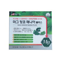 마그네슘 신경비타민 은행잎추출물함유 마그 징코 매니아 플러스 60캡슐 X 2병