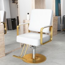 미용실 의자 네일샵 헤어샵 메이크업 체어 캔틸레버, 공식 표준배치, 화이트 티타늄 스테인리스 원반