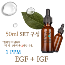 에코문 EGF + IGF 1ppm 2EA세트-50ml 원액 앰플 에센스, 1개, 50ml
