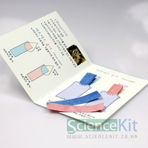 리트머스종이만들기(12인용) (HS), 상세페이지 참조