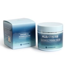 참존 알바트로스 워터풀 파워 크림 100ml /수분크림