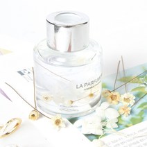 드라이 플라워 데이지 믹스