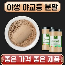 야생 야교등 분말 가루 자연산 특급 한방재료 건강분말, 2봉, 500g