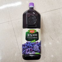 롯데칠성 [홈플러스]롯데칠성_델몬트포도100_1.8L x 2개, 단품, 단품
