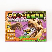 공룡 화석 발굴 키트 (4개 세트) 공룡뼈 장난감, 상세페이지 참조, 상세페이지 참조