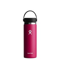 HYDRO FLASK - 하이드로 플라스크 텀블러 물병 플렉스 캡이 있는 하이드로 플라스크 와이드 입 병, 도미, 20온스