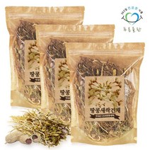 푸른들판 국내산 땅콩새싹 새싹땅콩 건채 100gx3 수경재배 차, 3개, 100g