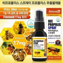 캐나다 프로폴리스 스프레이 액상 1개월분 꿀벌 면역력높이는 영양제 잇몸 기관지 복합식품 플라보노이드 플로폴리스 항산화 수용성 뿌리는 구강건강 그린 어린이 키즈 유아 아기 추천