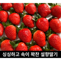 산지직송 국내산 고당도 설향딸기 750g~800g 특대 사이즈 달달한 명품 설향 딸기 생딸기 프리미엄 싱싱한 왕딸기 생 딸기 국산 킹스베리, (상)설향딸기 750g