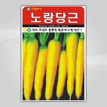 슬로시 슬로시 김장 채소 씨앗 무 배추 당근 씨 종자, 노랑당근1000립(아람)