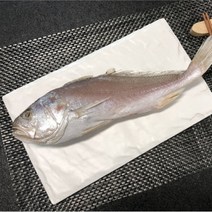 제수용 반건조생선 침조기 소 중 대 특대, 50cm