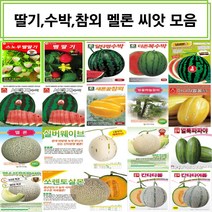 엔앤케이 오이 여주씨앗/선호백침다다기오이/일성백다다기오이/뱀오이/노각오이/새론삼척오이/녹야청청/러스보이/신아시아은천백다다기/아시아스트라이크/오복자/웰빙맛짱/젤루존백침/호동청장, 4.다농-노각오이 50립