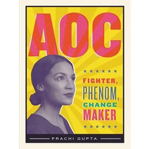 AOC: Fighter Ph이앤오m Changemaker 페이퍼백