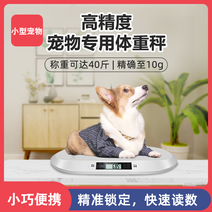 애완견 반려동물체중계 강아지 강아지 무게측정 led체중계, 545x320MM 백색