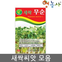 새싹 씨앗 모음 수경재배 식물키우기 홈가드닝, 새싹콜라비