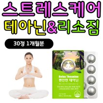30대 40대 직장인 스트레스 케어 완화 리소짐 테아닌