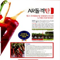 [ 2023년 고추씨앗 ] 사카타코리아 AR돌격탄 1200립 고추품종 고추 종자 씨앗 조생종 탄저병내병계