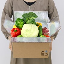 친환경 종이 보냉박스 고냉지함 5호 (12장)
