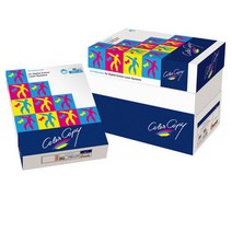 [122536]컬러레이저용지A3 (160g/250매/NEUSIEDLER), 상세설명참조, 상세설명참조