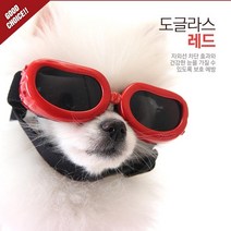 펫츠랜드 도글라스 선글라스 M, 레드, 1개