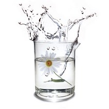 마타바 캐모마일 워터 (diy재료), 500ml