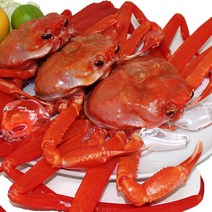 홍게 당일조업 산지직송, 1개, 5kg