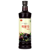광야 늘감사 복분자 베이스 복분자감식초, 970ml, 1병
