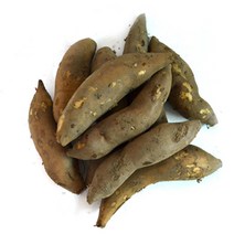 영양 야콘 10kg(하품/즙용), 10kg, 1개