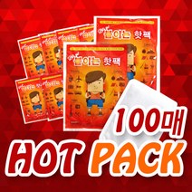 바이온 레츠고 붙이는 핫팩 100매