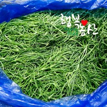싱싱한 당일작업 세발 나물 2~4kg, 1box, 세발나물2kg내외