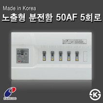 상도전기 30A 50A 주택용분전반 모음 국내산 두꺼비집 누전 배선 차단기 배전판 분전함, [분전함13-1] 노출형 분전함 50AF 5회로(배선용)