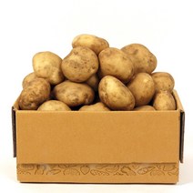 농부마음 맛있는 햇 감자, 중/소/통구이용, 5kg