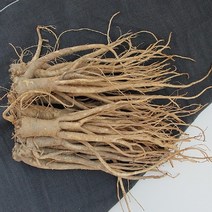 올댓리빙 도라지 친환경 무농약 3년근 약도라지 1kg, 1개