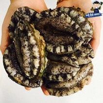 해를품은바다 완도 생일도 전복 1kg (13~15미) 1박스, 1kg(13~15미)