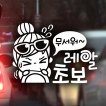 제제데코 초보운전 안전운전 차량 스티커 02, 058_무서워레알초보_반사