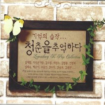 2CD 청춘을 추억하다 임재범 유명가수 다수