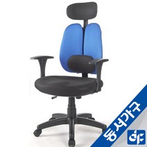 동서가구 BK GD요추매쉬 대 의자 DF902214, 블루