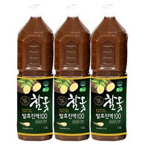 옻가네 천년전통 참옻발효진액 100 (사은품 증정), 3병, 1500ml