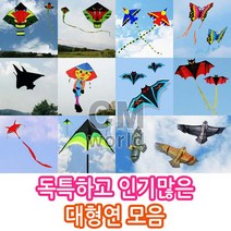 씨엠월드 유니크한 인기만점 대형연 모음 선택(낙하산 천 재질), 09.여우연