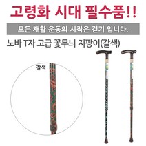 진산메디칼 노바 T자 꽃무늬 지팡이, 갈색, 1개