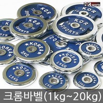 태림스포츠 크롬 바벨 원판 1kg~20kg, 2개입, 1kg