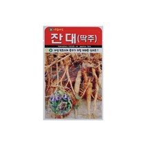 잔대(딱주)씨앗 1000립