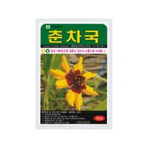 춘차국씨앗 1000립