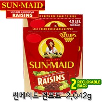 미국 썬메이드 건포도 2.042g 코스트코 선메이드 건과일, 1개