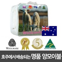Woolcomfort 호주에서 배송되는 명품 정품 양모이불, SuperSingle(210X160)