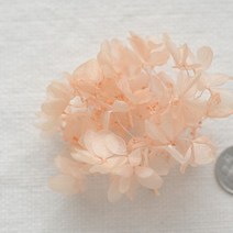 플라라 프리저브드플라워 수국, 02. [프리저브드플라워] 수국- 주황