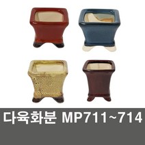 화분백화점 다육화분 미니화분 화분, 제품명