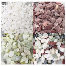 갑조네 화분돌 색돌, (적색)