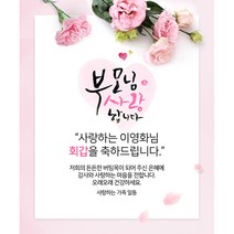 애니데이파티 카네이션편지 (네임형) 현수막, 고희(칠순)